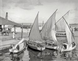 Puerto Rico circa 1906. "Native sailboats -- San Juan." 8x10 inch dry plate glass negative, Detroit Publishing Company. View full size.