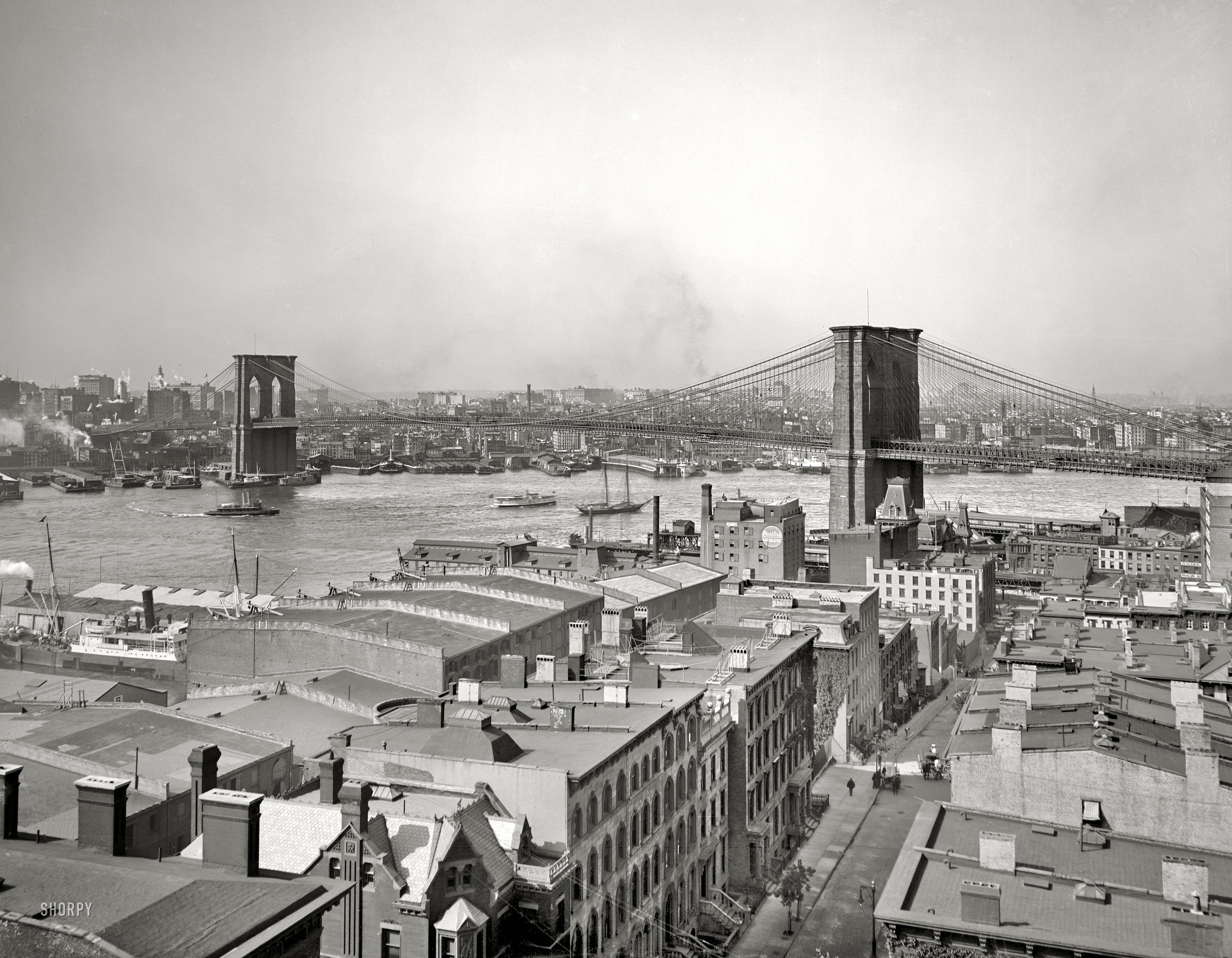 Circa 1904. "Manhattan, East River and Brooklyn Bridge from Brooklyn." Another grayscale view of an evergreen subject. 8x10 glass negative. View full size.