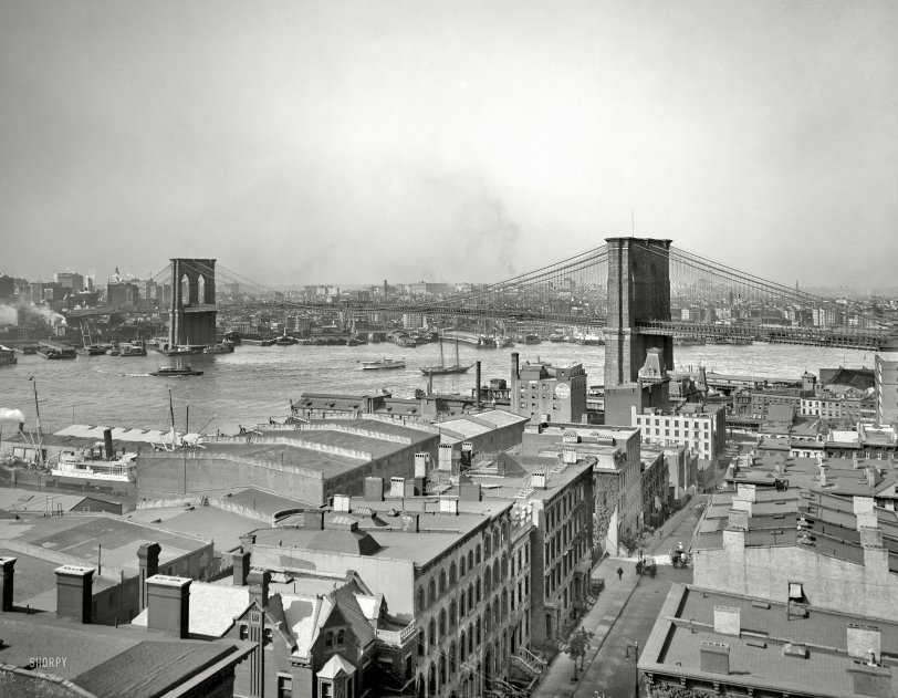 Circa 1904. "Manhattan, East River and Brooklyn Bridge from Brooklyn." Another grayscale view of an evergreen subject. 8x10 glass negative. View full size.

