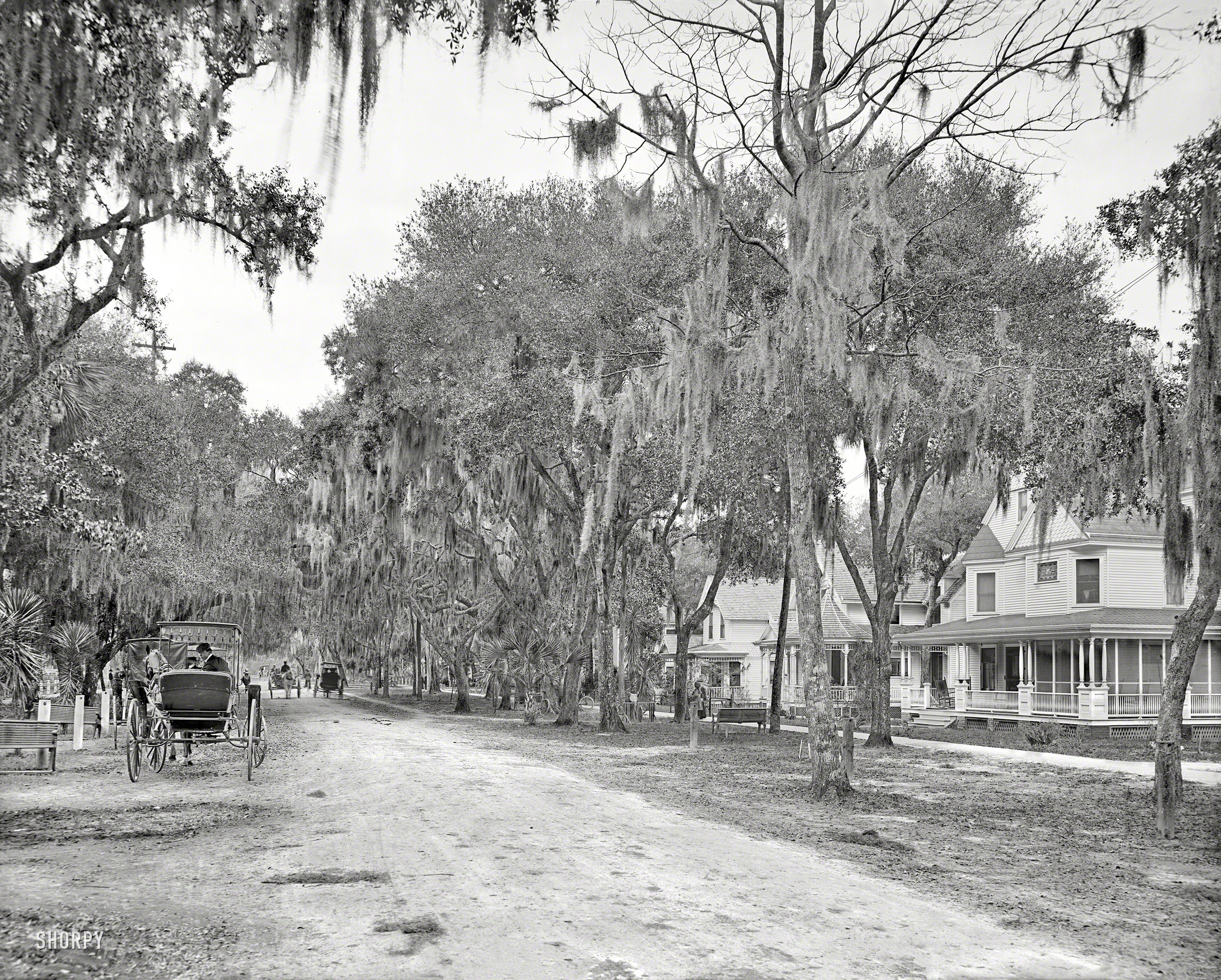 Circa 1904. "Ridgewood Avenue, Daytona, Florida." And the surrey with the fringe on top. 8x10 inch glass negative, Detroit Publishing Co. View full size.