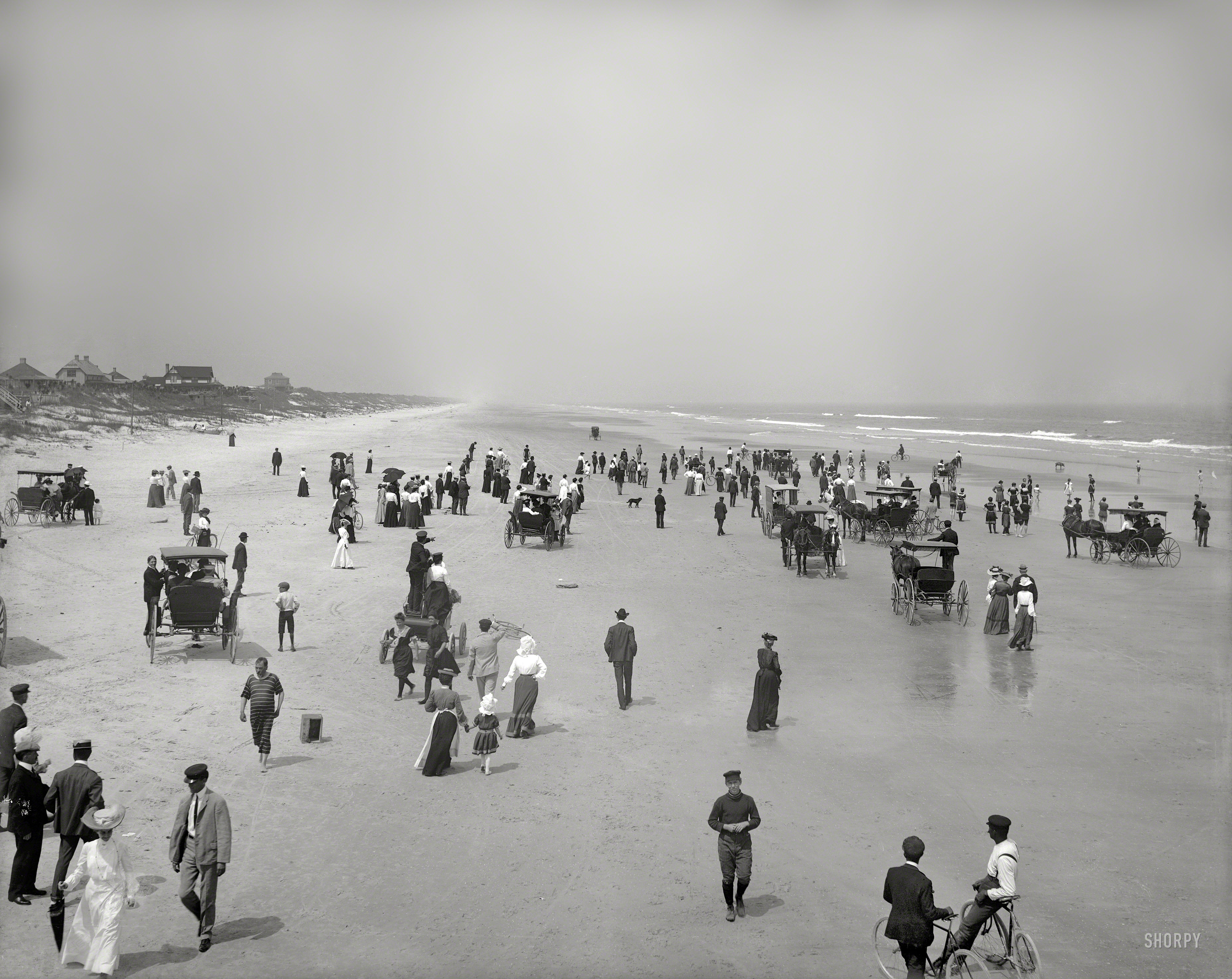 &nbsp; &nbsp; &nbsp; &nbsp; UPDATE: This is perhaps the earliest known example of a pig photobomb. See the comments for details.
Circa 1904. "The beach at Seabreeze -- Daytona, Florida." Open-air showcase for the latest styles in bonnets, bathing-costumes, self-propelled runabouts and light rigs. 8x10 inch glass negative, Detroit Publishing Co. View full size.
