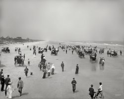 &nbsp; &nbsp; &nbsp; &nbsp; UPDATE: This is perhaps the earliest known example of a pig photobomb. See the comments for details.
Circa 1904. "The beach at Seabreeze -- Daytona, Florida." Open-air showcase for the latest styles in bonnets, bathing-costumes, self-propelled runabouts and light rigs. 8x10 inch glass negative, Detroit Publishing Co. View full size.
Watching the pig?I wondered what all their attention is focused on.  Is it the small pig out by the water line?
Slight chop on the beachI was wondering why everyone was looking away from the camera until I spied the renegade pork chop down by the water.
Is that a pigdown by the water, or just a big dog? Seems to be attracting a bit of attention.
And Pigs?Sure looks like a porker at water's edge!
Dog daysIt sure doesn't seem that one would get any relief from the Florida heat on this day at the beach with ocean breeze and cool surf while dressed in corsets, long dresses, fussy hats, woolen suits, starched shirts, ties, stockings and hard shoes.  The most comfortably dressed one in this picture is the dog.
[Florida was a winter resort. These people wouldn't have been at the beach in the summer. - Dave]
GreasedAre all of these people chasing down a lost pig?
What a pig!I mean the one about to take a dip with four legs.
Pulled PorkLooks like a pulled pork dinner is likely.
Pig has his nose in the water. Is he going to be brined?
Optical illusionJust happened to notice that the carriage or buggy on the extreme right toward the middle of this photo has turned the horse into a centaur, as the horse's head blends right into a man's beach costume.   Now I will look for a unicorn.
Sea PigThe elusive Sea Bovine is drawing quite a bit of attention from the crowd. And not one person is trying to take a picture to post on Instagram! How will we ever know it actually happened?
Strange CreatureWhat kind of animal is in the surf right, center in the distance?  It looks like a pig or boar. Maybe just a fat dog?
I think I see a SegwayLooks like the idea of a personal transportation vehicle wasn't a modern idea.  Or is that the forerunner of a dune buggy with the two standing riders?
Feral PigObject of attention.
A pig?That's a rather novel focal point at the beach!
Hogfish?Is that a pig I see in the surf?!
Dont let the pig distract youFrom watching where you step! 
There are quite a few horses on the beach you know.
Wilbur said"Frankly, Orville, the breeze up at Kitty Hawk seems a lot better."
&quot;Daytona 500&quot; Origins"Mom! Dad! There must have been 500 people at Daytona Beach today looking at that pig!"
AnimalsThis would be a GREAT Pink Floyd album cover.
Don&#039;t Mess With Me!says the expression of the man in the full length striped bathing suit in the lower left corner.
If I were wearing that, I'd be angry at myself, too.
Was life that slow 109 years ago?I imagine not but I DO love the idea that the whole town turned out in  their winter finery, riding bikes, carriages or just coming on foot to watch a pig take a swim.
Proof of centaursI am surprised that so far not a single person has noticed the centaur pulling the carriage at the right side. These are very rare beasts but the proof of their existence is in this picture.
PrequelJaws: The Phantom Menace.  Starring Ham Solo as the bait.
Daytona Concours d&#039;EleganceLittle did they know what they started.
Centaur!I noticed it right after I found the pig, then I felt compelled to make an account to find out if anyone else noticed -- and you did!
Pigless PokeThere appears to be a Poke more or less centered, minus its Pig.
Well harumph!!I'm certainly not going swimming in the ocean after that pig has been in it!
Horseless carriage on Daytona Beach?It appears that the vehicle in the middle foreground (with the people standing on the seats) is some kind of powered vehicle. Note the horn on the steering tiller and the lack of any kind of hitch for horses.
[Or as the caption terms it, a "self-propelled runabout." -tterrace]
Sea Creature Captured On FilmThe ever elusive mer-pig, about to disappear beneath the waves once again.
An Alternate ViewAnother view here of what may or may not be Mr. Piggy. 
MythicalNot only is that a centaur, but he's pulling a wagons with Santa Claus in the back.
Don&#039;t look, Ethel!Is the guy on the right at the water line, naked? Maybe everyone is watching the hog so they don't see the...
AutoIt's hard to tell, but the vehicle looks like a curved-dash Oldsmobile, the first American car to approach mass production.
Rowing failThose people in the rowboat (left side, near the rear of the beach) aren't going to get very far!  Plus they'd better watch out for that Edward Gorey creation wandering toward them.
(The Gallery, Cars, Trucks, Buses, DPC, Florida, Horses, Swimming)