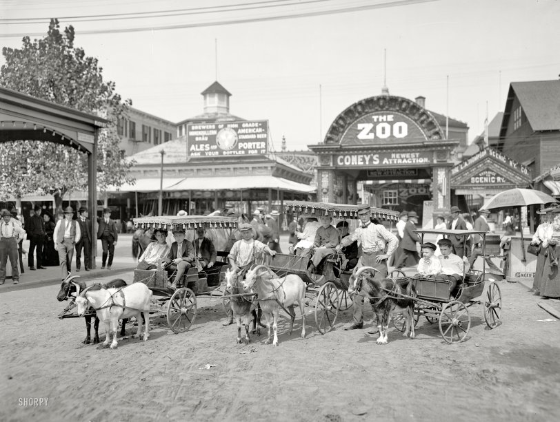 New York circa 1904. "The goat carriages, Coney Island." Similar to this image posted here last year, except this one shows the Moxie sign. 8x10 inch dry plate glass negative, Detroit Publishing Company. View full size.
