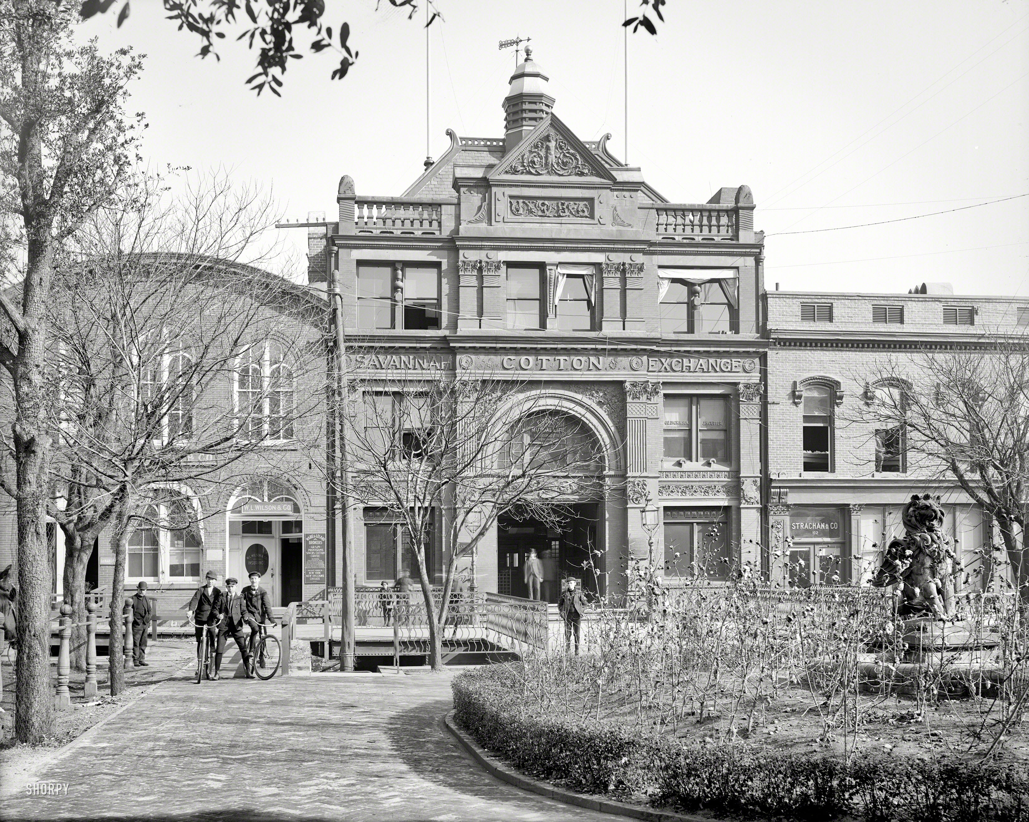 Georgia circa 1904. "Savannah Cotton Exchange." Note cotton-themed fountain landscaping and juvenile welcoming committee. 8x10 inch dry plate glass negative, Detroit Publishing Company. View full size.