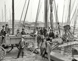 Circa 1905. "Unloading oyster luggers at Baltimore." 8x10 inch dry plate glass negative, Detroit Publishing Company. View full size.
