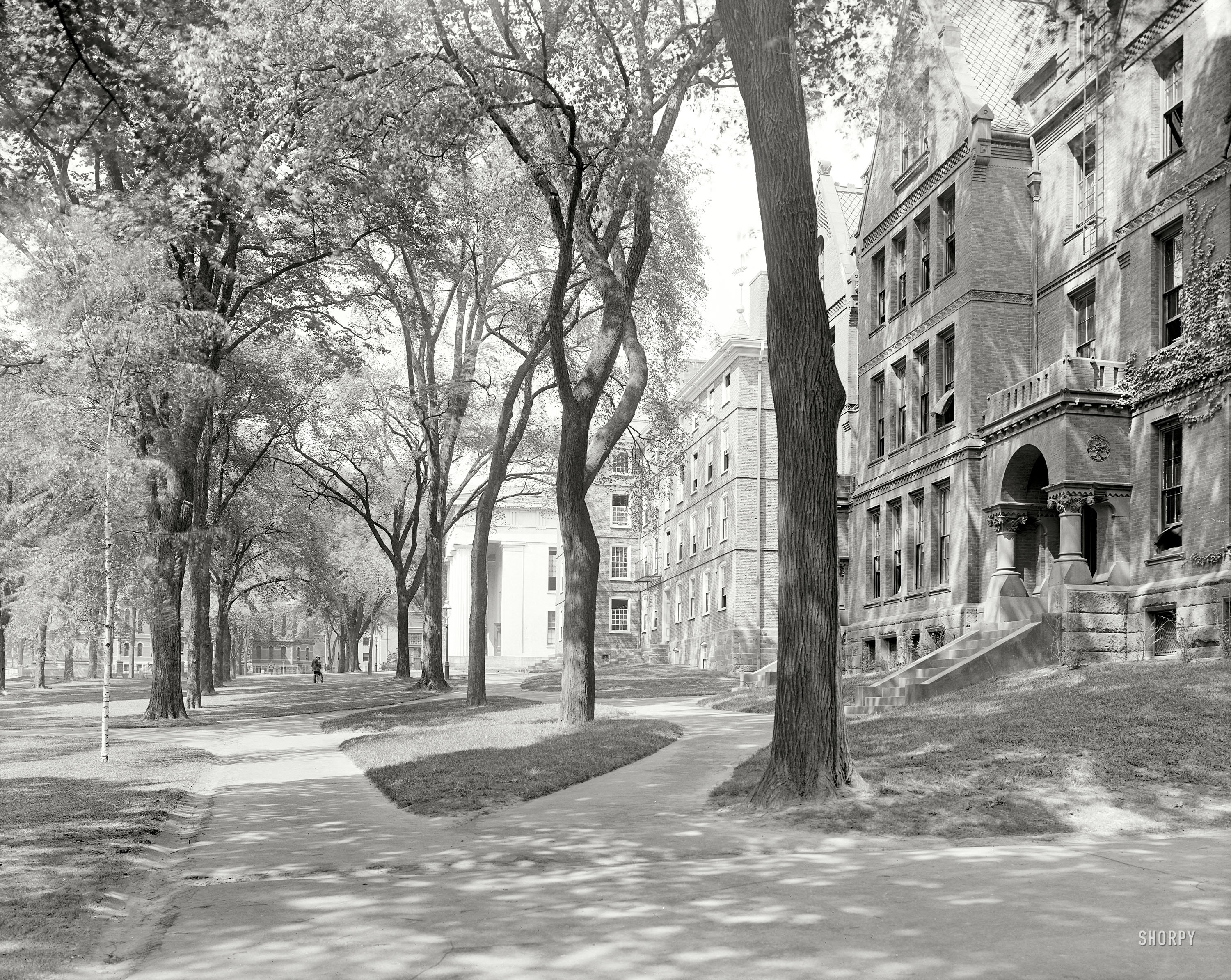 Providence, Rhode Island, circa 1906. "Front campus, Brown University." 8x10 inch dry plate glass negative, Detroit Publishing Company. View full size.