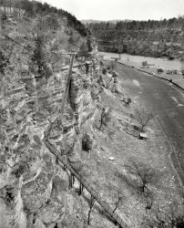 Circa 1907. "Cliff stairway, High Bridge, Kentucky." Oops, forgot my car keys, brb. 8x10 inch glass negative, Detroit Publishing Company. View full size.
Cliff now?Is this in the now-Norfolk Southern Rathole Division between Kentucky and Tennessee?
High Bridge is quite a site.  My wife and I have been over it a couple of times on J611 and 1218 excursons.  I understand in the old days the railway ran trips out to the gorge and participants enjoyed picnics and hikes down to the river...and now, thanks to Shorpy, I can see how they got down to the river.
Wow, quite a climb!
I wonder where the railway bridge is from here?
Those rocksTruly a geologist's dream.
I&#039;m CertainVery few tried to slide down those bannisters!  And it wouldn't be just fear of splinters that would hold them back. 
TanglefootTwo wondering questions come to mind - did anyone every catch their foot at the top and roll all the way down to the bottom (rollin', rollin' rollin - Rawhide) - and conversely, did anyone ever have a heart attack climbing UP those stairs?  If I lived there, I'd take the first train out!
Not the Only OneThere's a stairway like that at Duke Creek Falls in Georgia.  You don't want to be doing it more than once in a day - or a weekend for that matter.
Still there?Looking at satellite photos, it's hard to tell. 
Long flightThose have got to be the longest flights of stairs I have eve rseen.  Rollin, rollin, rollin, is right.  Those stairways are totally cool, and ridiculously unsafe.  It must be a code violation to construct a stairway today with such long uninterrupted runs.  I wonder if anyone did trip at the top of a landing?  
Porch &amp; Deck EnamelI remember as a kid being handed a scraper, cans of paint and a brush. I was then pointed at the back porch and heard "get started". There went spring break. This thing would have definitely killed my entire summer vacation.
Scary enoughScary enough in good weather, but in rain. Forget it. Trouble is, it could start to rain along the way, as that is along way. And ice would be even worse. Yikes. 
Bridge and StairsMy Official Railway Guide 1893 reprint lists this location as being on the Queen &amp; Crescent System, which included the Cincinnati, New Orleans &amp; Texas Pacific, so it would have been incorporated into the Southern Railway System by the time of the photo, and today would indeed be on Norfolk Southern's Rathole Division.
I would imagine that this photo was taken from the railway bridge.  The stairs might be for access between the depot and the river.
Today's Americans With Disabilities Act compliance officer would definitely not approve.
Calling Stan and Ollie.We have a piano to deliver.
Stairway to EternityAlas, the boards are long gone:
http://binged.it/yL2sg9
Watch that first step!If the stairs were constructed to today's building codes, typically a landing would be required for every twelve feet of height.  Good place to break a fall if you started tumbling down, and would definitely provide a nice spot to catch your breath on the climb back up!
Master CarpentryBefore I thought about Ollie and Stan and the piano and the cop and the mailman Charlie Hall I was awestruck with the skills in carpentry that went into the building of this stairway.
Oh, my aching kneesThe people at the top of the photo don't look like youngsters, but I'm thinking of the guys who BUILT this thing.  How the heck did they get those stairs on that cliff?  I wonder how many injuries were sustained by those who erected this thing.
Not recommended for acrophobicsNot recommended for acrophobics, despite the apparently solid construction. Bing Maps has some great aerial images of this area for comparison at: http://tinyurl.com/6tsu9mg
Be sure to zoom in on the bridge and click the "Bird's eye" option--then click-and-drag, play with the rotate button,etc. to bring up several different views, including one with a train on the bridge.
That rich, bottom land soil is tempting for agriculture, but I think my house would stand high on pilings were I to build on that flood plain! 
Counting stepsIs there an official—or conjectural—estimate of the number of risers? I'd guess the contractor knows.
(The Gallery, Boats & Bridges, DPC)