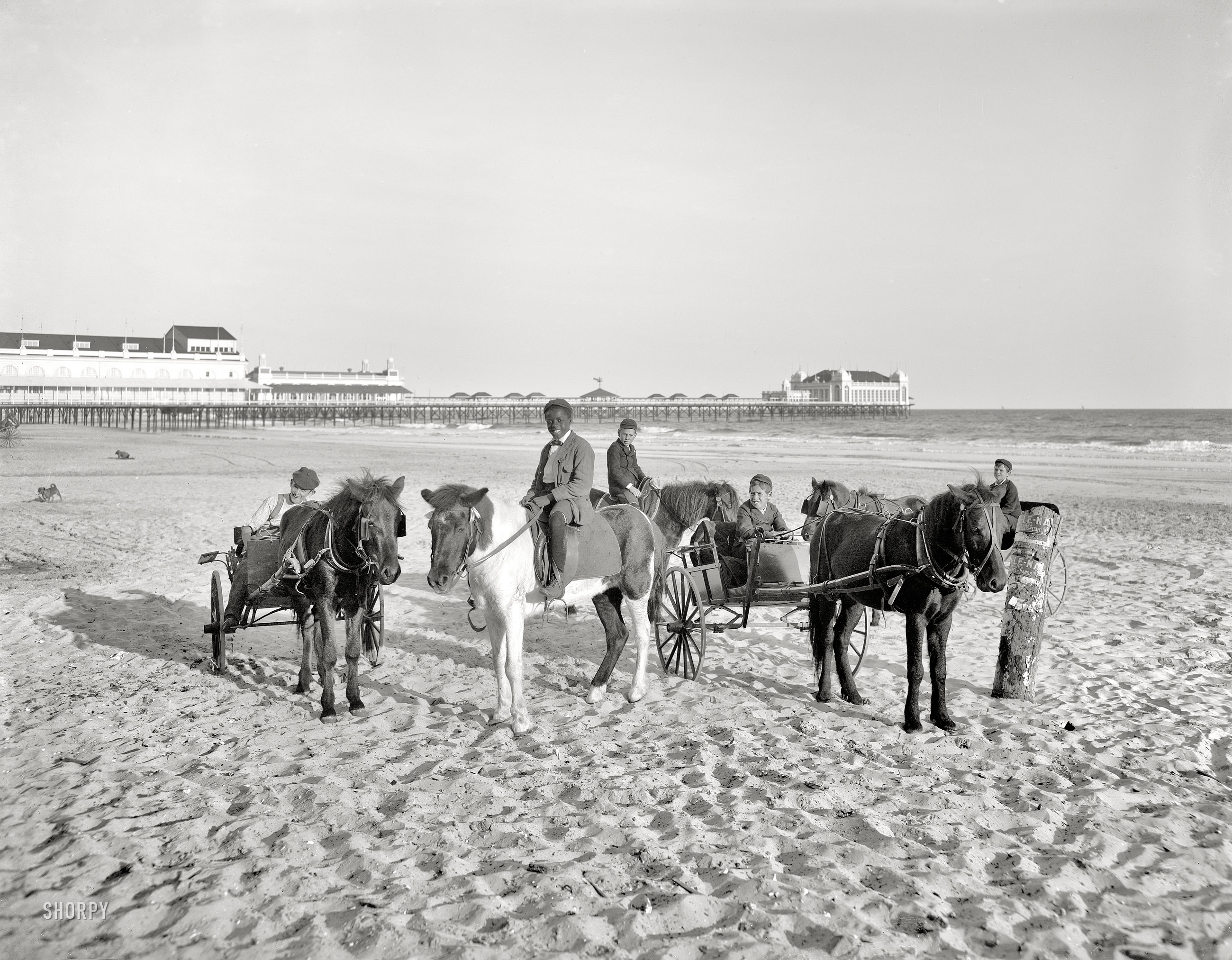 The Jersey Shore circa 1905. "Ponies on the beach -- Atlantic City." In the distance, the Steeplechase and Steel piers. 8x10 glass negative. View full size.