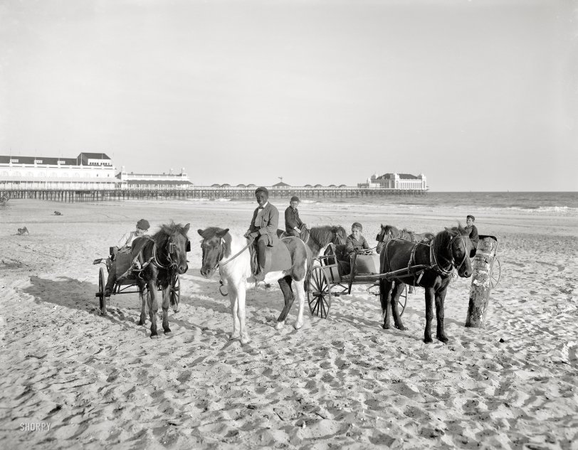 The Jersey Shore circa 1905. "Ponies on the beach -- Atlantic City." In the distance, the Steeplechase and Steel piers. 8x10 glass negative. View full size.
