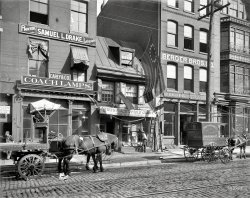 Circa 1900. "Betsy Ross House, Philadelphia." Our second look at Jack the horse. 8x10 inch glass negative, Detroit Publishing Company. View full size.