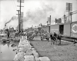 Cotton on the Levee: 1903
