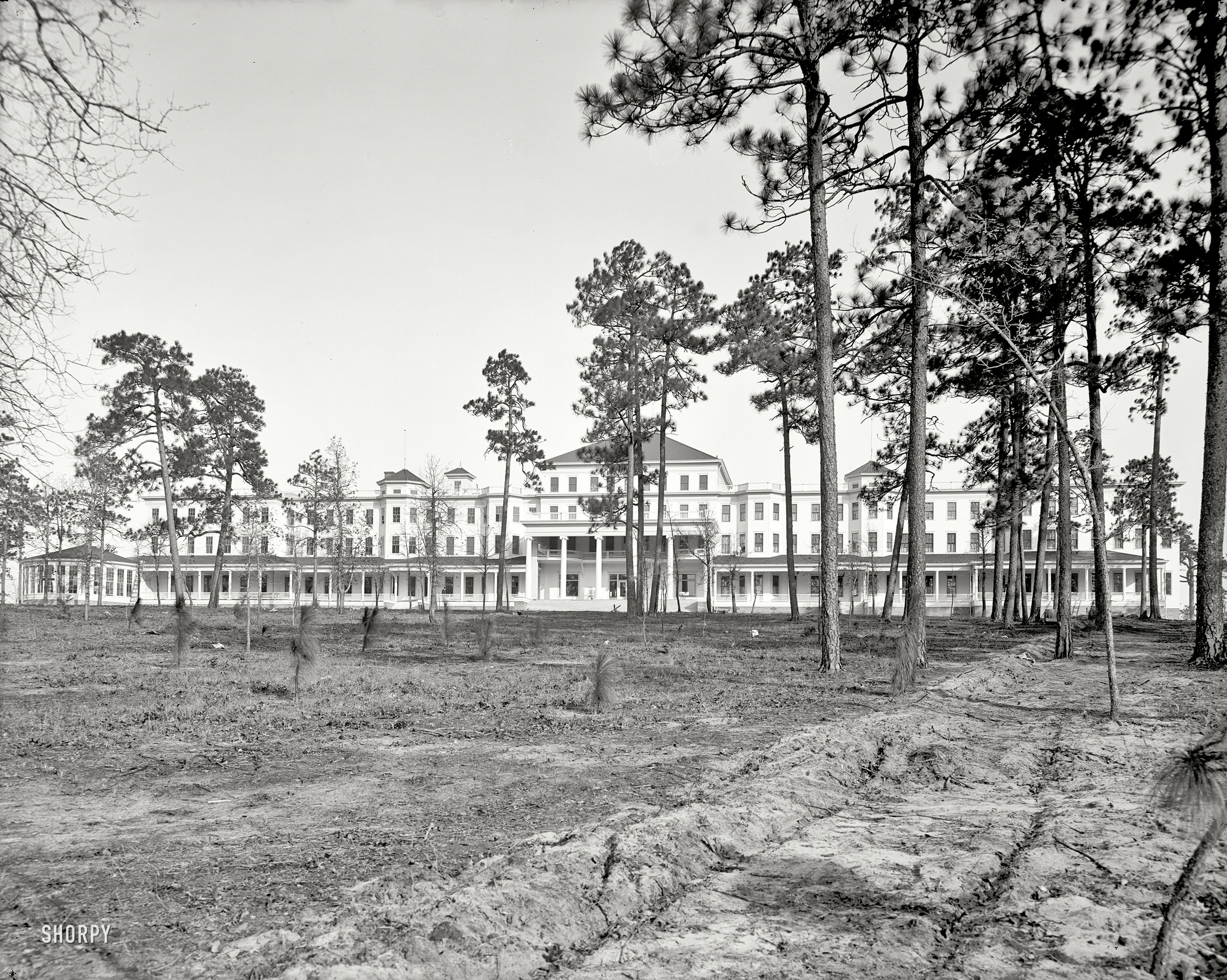 Aiken, South Carolina, circa 1905. "Park in the Pines Hotel." Of the resort's eponymous evergreens, it was claimed that "the exhalations from this tree exert a soothing and purifying effect upon the mucous membrane of the respiratory passages." At least until the place burned down in 1913. View full size.