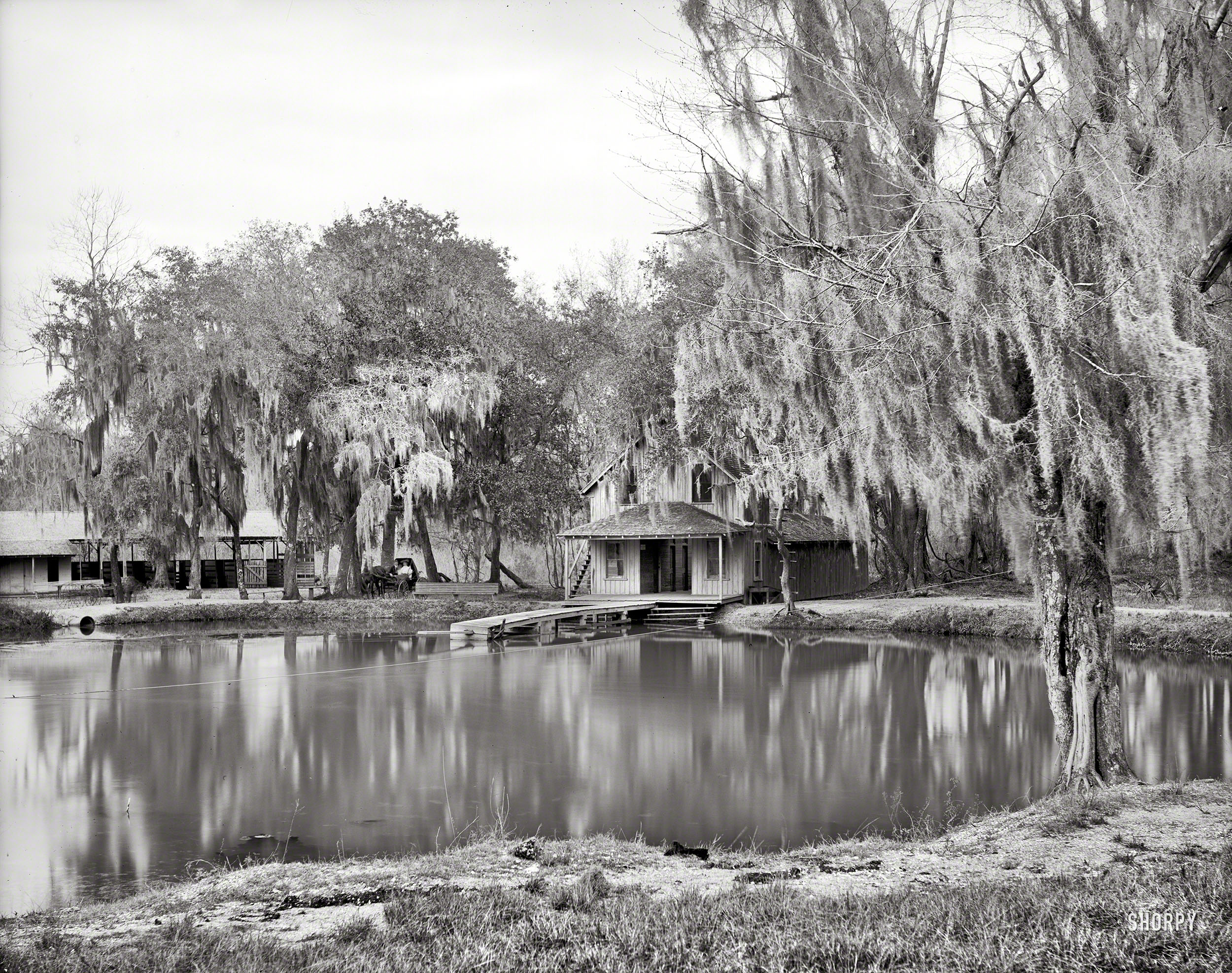 Florida circa 1904. "DeLeon Springs near DeLand." 8x10 inch dry plate glass negative, Detroit Publishing Company. View full size.