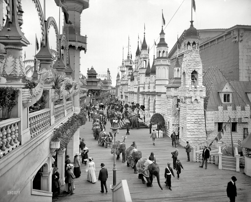 New York circa 1905. "Coney Island -- Luna Park promenade." Elephants on parade. 8x10 inch glass negative, Detroit Publishing Company. View full size.
