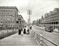 Virginia Avenue strollers (and rollers) in Atlantic City, New Jersey, circa 1905. 8x10 inch glass negative, Detroit Publishing Company. View full size.
