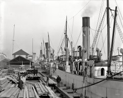 Circa 1906. "Along the docks -- Mobile, Alabama." 8x10 inch dry plate glass negative, Detroit Publishing Company. View full size.