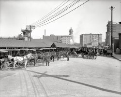 Circa 1906. "Atlantic City, N.J., hotel busses at P.R. depot." 8x10 inch dry plate glass negative, Detroit Publishing Company. View full size.