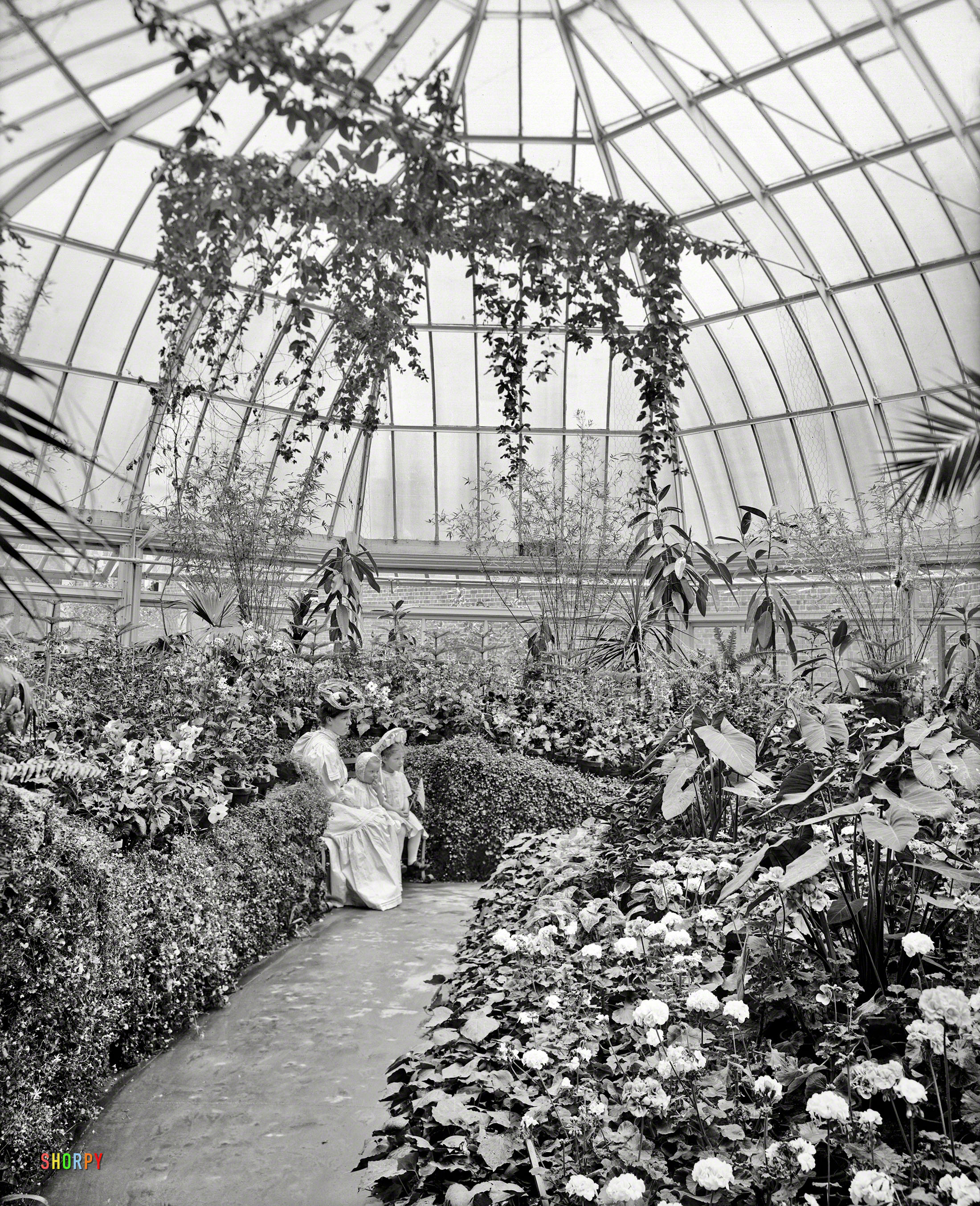 Detroit circa 1907. "Horticultural Building, Belle Isle Park." Check out their latest Vine. 8x10 inch glass negative, Detroit Publishing Company. View full size.