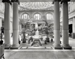 Richmond, Virginia, circa 1905. "Japanese Palm Garden -- Jefferson Hotel." Along with an ichthyological caution. 8x10 inch glass negative. View full size.