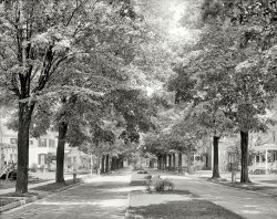 Circa 1905. "Arnold Park -- Rochester, New York." 8x10 inch dry plate glass negative, Detroit Publishing Company. View full size.