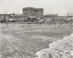 Atlantic City circa 1913. "Chalfonte Hotel." Here we are back at the beach, but with nary a pig in sight. 8x10 glass negative, Detroit Publishing Co. View full size.