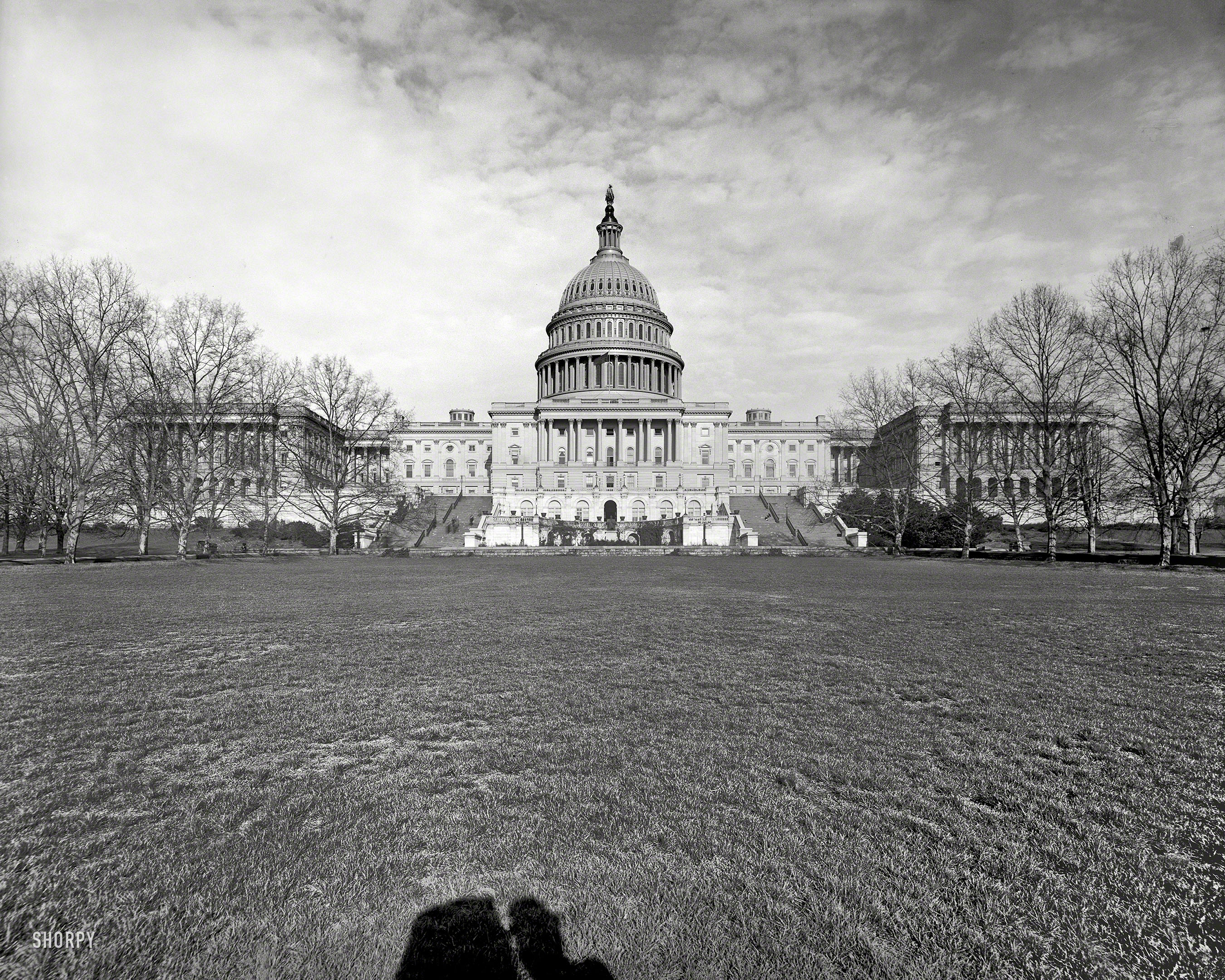 Circa 1908. "West front, U.S. Capitol, Washington." Today only, a tricameral legislature. 8x10 glass negative, Detroit Publishing Co. View full size.