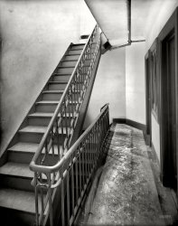 Circa 1905. "Tenement stairway and hall, New York City." The Trudge Report. 8x10 inch dry plate glass negative, Detroit Publishing Company. View full size.
Ragg MoppHave these people never heard of a Mop?
Don&#039;t Jump to ConclusionsLooks less like 'sloppy' than partway through renovations. The stuff on the floor could be old mastic.
Plaster spillage?The wall at left seems to show evidence of plaster repairs to holes, and there's further evidence of plaster work at the top of the stairs. I think the two white circles on the hall floor are where buckets of plaster stood, and the nearer bucket got tipped over so that its contents ran along the floor. 
Ready for the Painters!This hallway view shows new construction. The wrought iron railing and stair stringers have not been painted yet and a scribed line in the plaster is visible about three feet above the floor where the separation of paint colors will be. A darker color below to hide scuffs and fingerprints.
No sense in mopping the floor until the painters have finished.
Not Originally A PejorativeThe frequent affixing of adjectives like "squalid" or "reeking" or "crumbling" to the word tenement in contemporary news articles and essays reveals that the noun was not always a pejorative.  Indeed, it refers to an arrangement of flats in a multi-storied building served by a central staircase, usually constructed with one or two walls in common with adjacent buildings.  (The Romans had 'em; you can look it up!) Because it was a cheap and profitable way to provide housing for the many,  and because "many" and "impecunious" are often closely associated, the "old law" tenement maximized density and minimized cost to the detriment of access to light and fresh air, resulting in a gradual acceptance of the term as the equivalent of "slum."  Well, that and the presence of four generations in a one-bedroom, picking rags and praying for the Bronx.
KudosTo the sharp-eyed Shorpy viewers for noticing all the minute details of this photo, and that the building was indeed probably going through a renovation rather than just being a dirty old mess! I never caught all this until I read these astute observations.
(The Gallery, DPC, NYC)