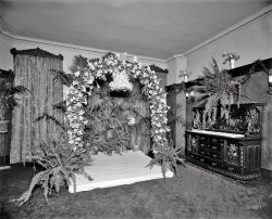 Detroit circa 1905. "Wedding decorations at Hotel Cadillac." An interesting mix of funereal and festive. Detroit Publishing glass negative. View full size.