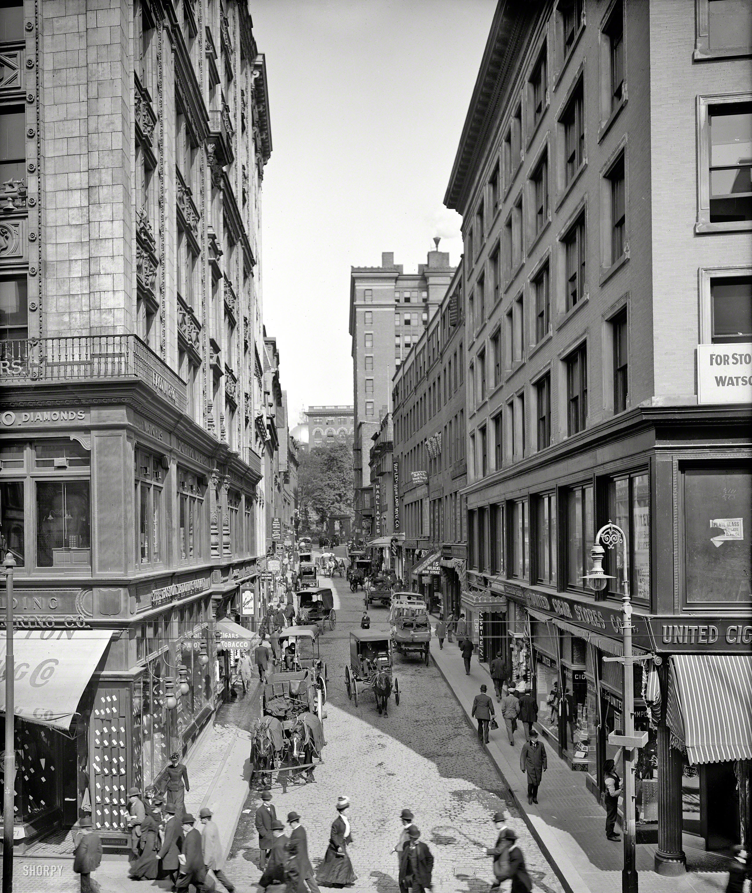 Bromfield Street in Boston circa 1908, home at No. 15 to Holden's Bird Store. 8x10 inch glass negative, Detroit Publishing Company. View full size.