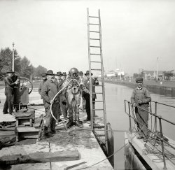 Sault Sainte Marie, Michigan, circa 1908. "Diver repairing a lock gate." Detroit Publishing Company glass negative. View full size.
SupervisionHe has plenty.
Claustrophobia galoreI think I'd die of heart failure before I even got into the water!
Those Were The Days"Hardhat" divers had it rough.  Tough to see and work in that outfit and, heavy as the diving suit was, he still needed a huge lead weight on his chest to stay down.  I can't figure out why all the guys in suits surrounding the diver but it must have been an important dive.  If it had been me though I would have opted for a younger man at the wheel of my air pump (on the left of the photo).  
The Original LeadfootWonder if he wore those shoes driving his new auto home?
It&#039;s Simply The Way It MUST BeEven the diver is wearing a hat.
It&#039;s Coming BackHelmet diving, or "Surface Supplied Diving", is making a come back! Proponents say it's easier and safer for amateurs to use helmets for shallow dives than scuba tanks (the old canvas full body suits are gone though). Tourist resorts throughout the Caribbean and the Bahamas offer helmet dives - no PADI certification needed.
It's a great way to take an underwater walk on the reef, and you can hold a conversation with your buddies while you're down!    
I can&#039;t seedo I go up or down the ladder?
(The Gallery, Boats & Bridges, DPC)