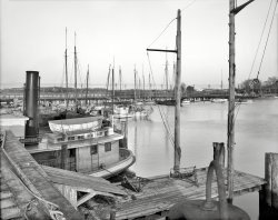 Hampton, Virginia, circa 1908. "Oyster steamboat Kecoughtan at landing." 8x10 inch dry plate glass negative, Detroit Publishing Company. View full size.
Steamer KecoughtanThe steamer Kecoughtan was built 1903 at Pocomoke City, Md. Crew size of six to twelve. Powered by a Steeple compound engine with a water tube boiler. 74 ft long, 56 gross tons. 
Steeple CompoundThanks Stanton for the nice info.  Steeple compounds are really interesting.  The traditional compound steam engines always had a separate cylinder and valve gear for each expansion (recycling) of steam but the steeples put the pistons and cylinders on top of each other.  This reduced the number of moving parts to lubricate and cause vibration and made a smaller, lighter engine.  Steeple compounds were made through the 1950's, in fact, the Lake Michigan carferry "Badger" has two still in operation.
(The Gallery, Boats & Bridges, DPC)