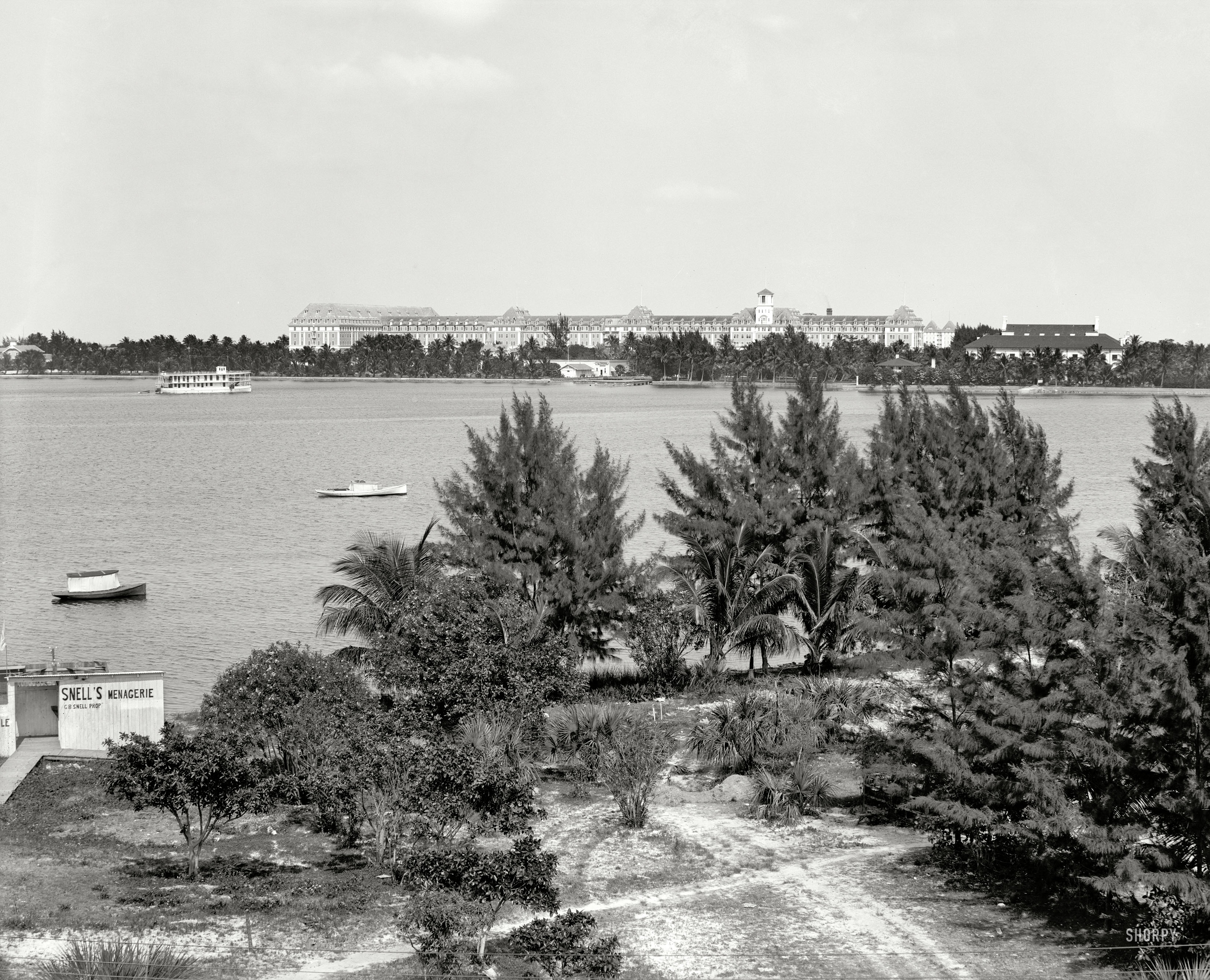 Palm Beach, Florida, circa 1910. "Lake Worth and the Royal Poinciana." Henry Flagler's giant hotel, named after the flamboyant flowering tree, holds a place in the record books as the planet's largest wooden structure. At the other extreme: Snell's Menagerie. 8x10 glass negative, Detroit Publishing Co. View full size.
