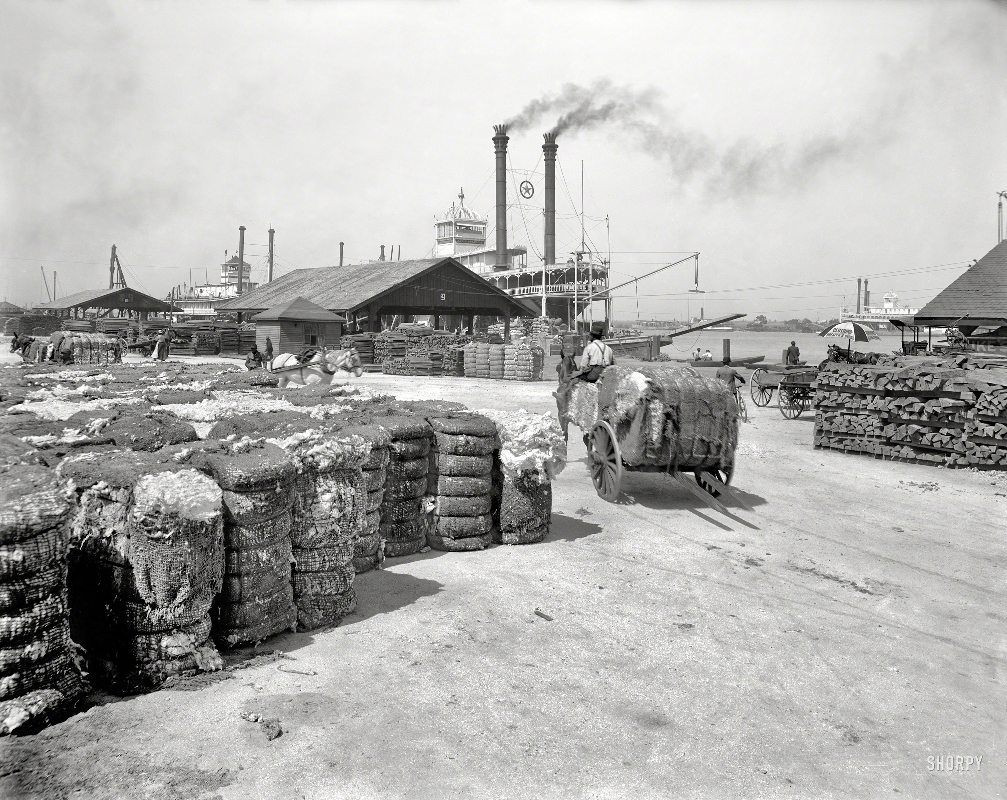 Alabama circa 1905. "The cotton docks at Mobile." Big bales of bolls. 8x10 inch dry plate glass negative, Detroit Publishing Company. View full size.