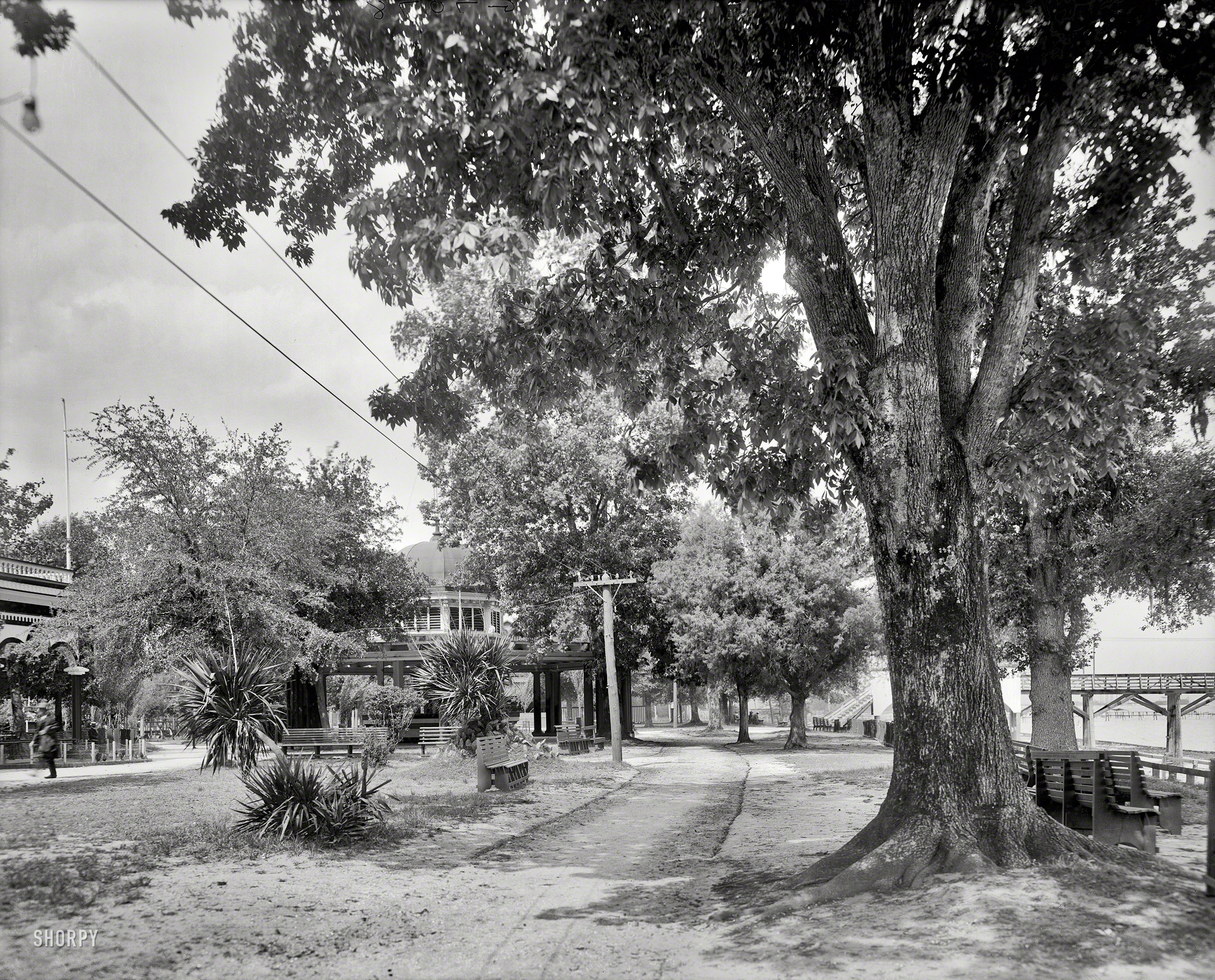 Mobile, Alabama, circa 1910. "A pretty bit of Monroe Park -- bandstand and yacht club pier." 8x10 inch glass negative, Detroit Publishing Co. View full size.
