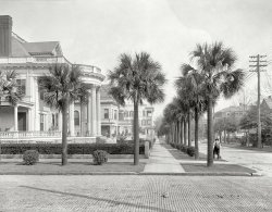 Jacksonville, Florida, circa 1910. "Residences, corner Laura and Ashley Streets." 8x10 inch dry plate glass negative, Detroit Publishing Company. View full size.