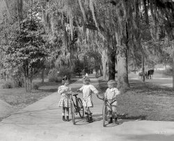 Continuing our Sunshine State sojourn circa 1910: "Entrance to Riverside Park, Jacksonville, Florida." Detail of 8x10 inch glass negative. View full size.