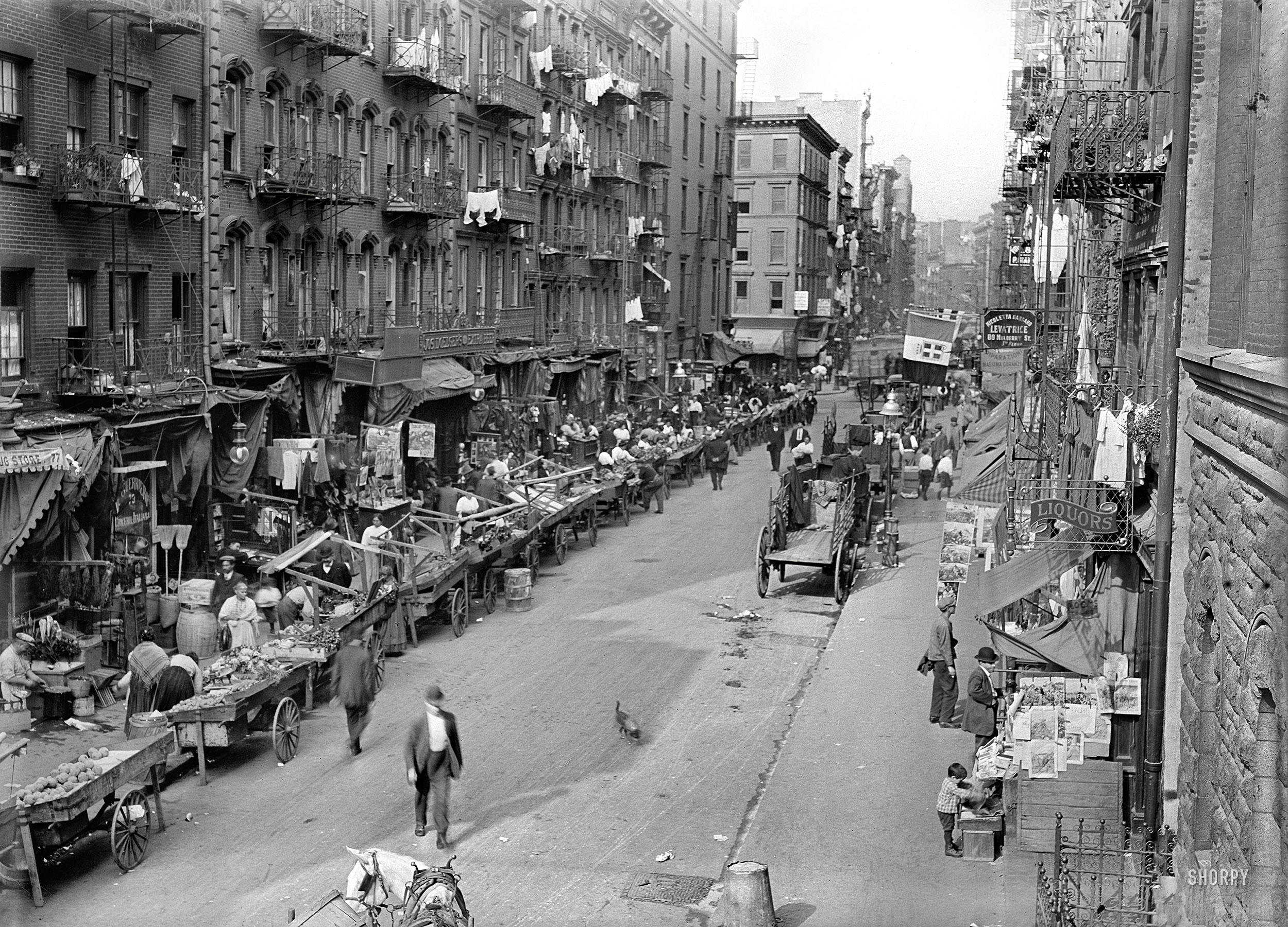 New York circa 1905. "Mulberry Street. Italian neighborhood with street market." 5x7 inch dry plate glass negative, Detroit Publishing Company. View full size.