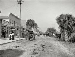 Florida Souvenirs: 1906