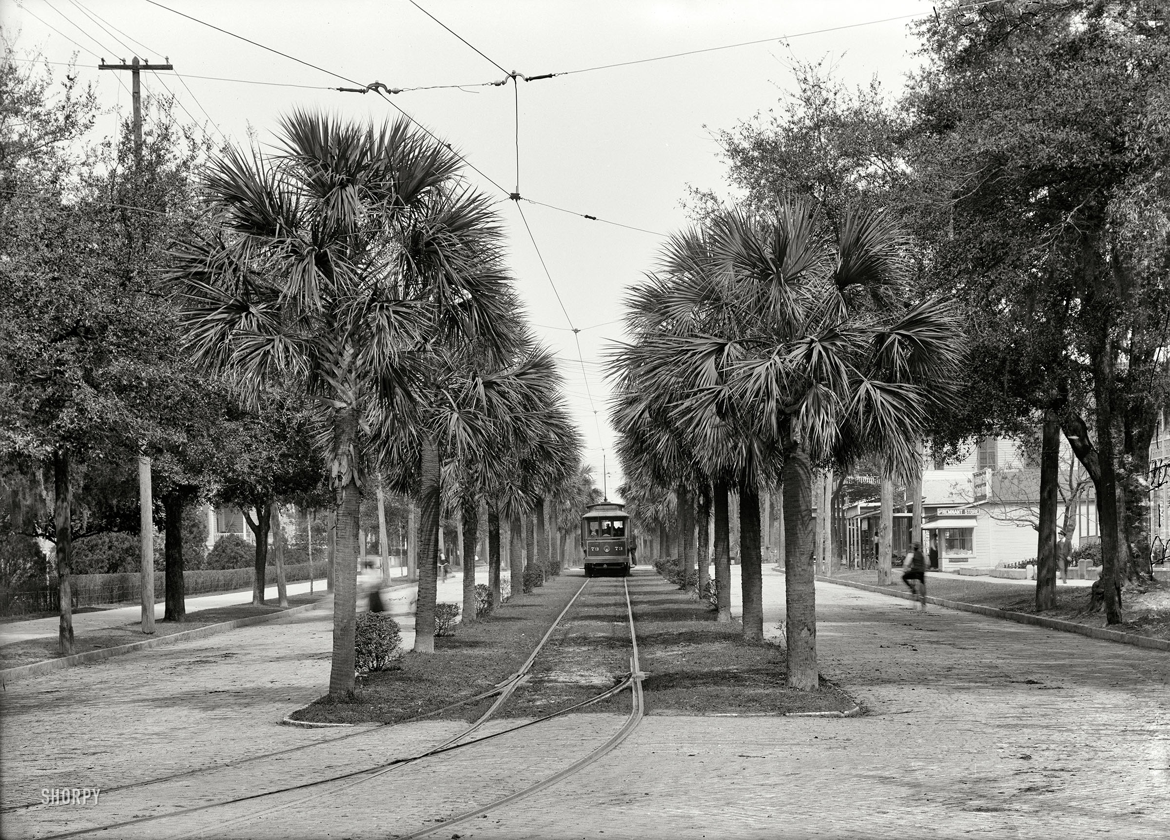 Jacksonville, Florida, circa 1903. "Main Street streetcar." 5x7 inch dry plate glass negative, Detroit Publishing Company. View full size.