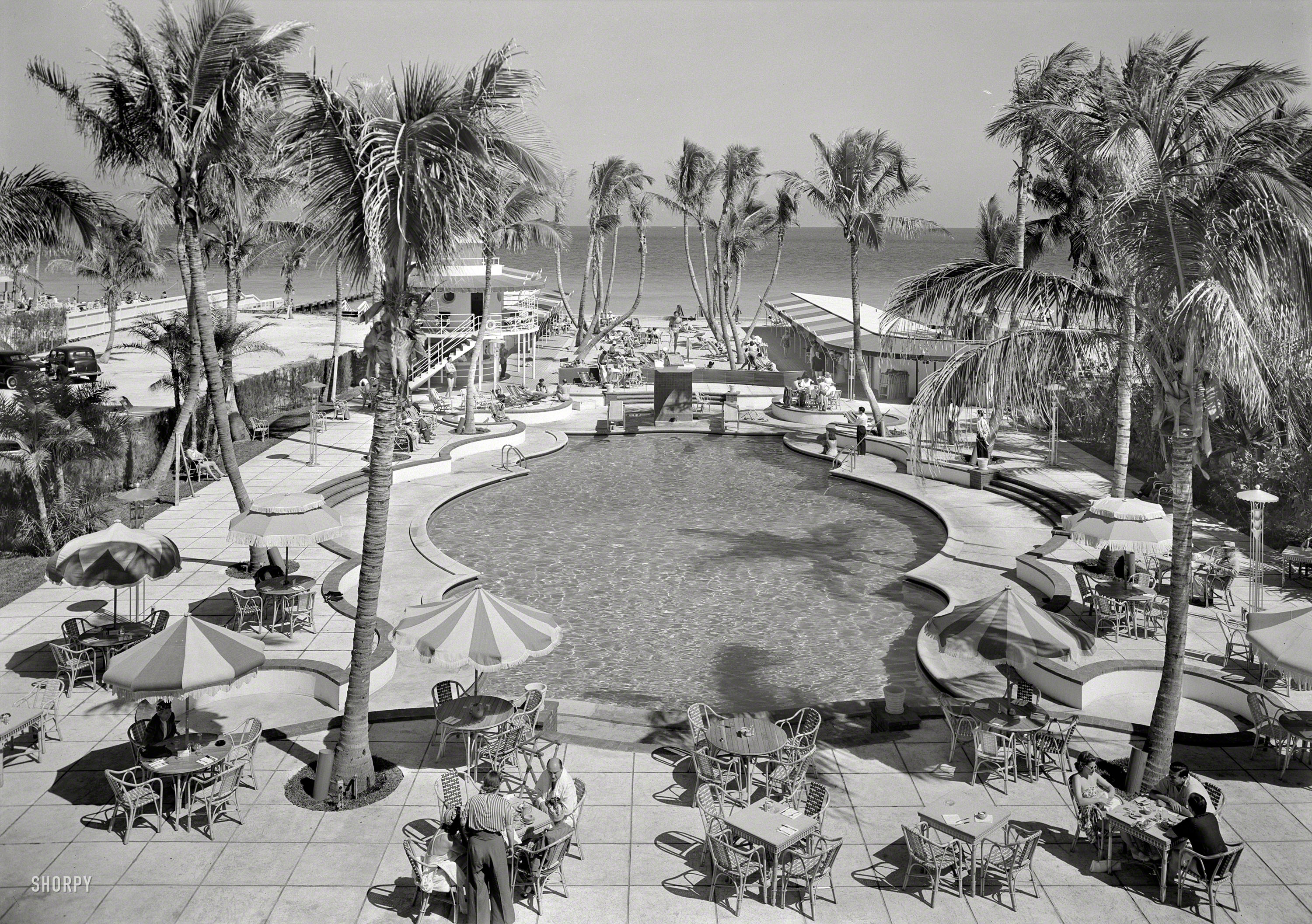 March 5, 1941. "Raleigh Hotel. Collins Avenue, Miami Beach. Pool, to ocean from balcony. L. Murray Dixon architect." Rustling those palm fronds, the winds of war. Large-format acetate negative by Gottscho-Schleisner. View full size.