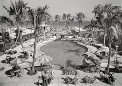 March 5, 1941. "Raleigh Hotel. Collins Avenue, Miami Beach. Pool, to ocean from balcony. L. Murray Dixon architect." Rustling those palm fronds, the winds of war. Large-format acetate negative by Gottscho-Schleisner. View full size.
Only the time line was wrongSolo was right about the ships occasionally being torpedoed off shore -- but only after the war had started.  I know: I lived in Fort Lauderdale at the time.  Ships heading North would use the Gulf Stream to help them along, so the Krauts knew where they would be. Beaches were patrolled and watch towers were built beachside to track aircraft.  Nervous time for all.
Still therehttp://www.raleighhotel.com/explore/the_pool/
Looks very much the same, today! From Bing Aerial View: http://binged.it/WDClE7
Ringside Seats for the Slightly SurrealThough the US was still months from having an active role in WWII when this photo was taken, one could have grabbed a parasol-festooned fruity libation of an evening and watched blazing cargo vessels sinking just a few miles off the beach as German U-boats plied their trade against British shipping.
Actually Not YetSolo's assertion that the patrons of this hotel could watch blazing cargo vessels from the comfort of the pool before the US entry into the war is wrong. For one thing most of the ships carrying cargo and oil from the Gulf ports were American and would join up with the Anglo-Canadian convoys at Halifax or Sydney. Both Hitler and Admiral Donitz who commanded the U-Boat fleet believed that US intervention in World War I had led to the failure of the German submarine blockade of Britain during World War I. They were anxious to keep from provocative incidents that would bring the US into the war, although with US ships convoying merchant vessels in the North Atlantic sometimes made that difficult.
Wide Leg PantsComing of age in the late 90s, there was a ridiculous fad of outlandishly wide-legged jeans, for girls in particular. I didn't realize that the predecessor to that fad could be found with our grandparents (or at least with that woman in the center foreground.)
[Very popular at the time. - tterrace]
(The Gallery, Gottscho-Schleisner, Miami, Swimming)