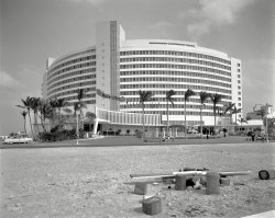 March 30, 1955. "Fontainebleau Hotel, Miami Beach. General view. Morris Lapidus, architect." Photo by Gottscho-Schleisner. View full size.
Their clienteleThe two Cadillacs has to say something about them.
This is what it looks like these days.View Larger Map
GoldfingerThat's the hotel James Bond used the telescope to see Auric Goldfinger's cards from Goldfinger's penthouse suite, and where the woman covered in gold died. Also where Jerry Lewis' movie "The Bellboy" was filmed and where the Jackie Gleason variety show (with the June Taylor Dancers) was broadcast live.
[Gleason's show was taped at the Miami Beach Auditorium, not the Fontainebleau. -tterrace]
1954 and two &#039;53sThe middle one I believe is a convertible.
True architecture!What could be more cool and appropriate for Miami Beach than a building that looks a lot like a backyard air conditioner evaporator!
They could have built next door one that looks like an ice cream cone...
ANGdoes anyone know what that means on the end of those logs on the beach?
What is it?It's interesting to see the very first stage of construction on the site of the Fontainebleau, but you didn't identify the large building in the background.
Firestone EstateThe Fontainebleau was built on the Firestone Estate, Harbel Villa, on Millionaire's Row. It was named for Harvey Firestone (think tires) &amp; wife Idabelle.  Architect Lapidus designed the curved hotel around the mansion, which was later torn down.
[The hotel was most certainly not designed "around the mansion," which was razed in January 1954, before construction on the Fontainebleau began. - Dave]
edit: My bad for trying to retell the story from memory. No doubt the plan never included the mansion, but, as a kid, I distinctly remember seeing the hotel being built around it, as seen in this photo from Miami Archives:
http://miamiarchives.blogspot.com/2012/07/from-millionaires-row-to-hotel...
Harvey Firestone spent his winters on the estate from 1924 until his death there in 1938. During that time, Firestone, who never lost his common man senses, went to "work" almost every day to the large Firestone Tire Store at Flagler Street and 12th Avenue in Miami where he sold tires to awestruck motorists.    
Can Someone Explain This To MeI am just an amature amateur photographer, but I have been waiting for someone else to pose this question, or make this comment.  So, here goes. why did the professional leave all of that foreground trash in this great photo, and not crop it out? Thanks.
[Because he knew that it would be cropped out when printed, either photographically or in printed materials, such as in a brochure, portfolio, etc. Even without the trash, that large empty area would not have been included. Keeping it off the negative would have required moving closer, cutting into either the building or the breathing room around it. -tterrace]
Flying WoodHas anyone taken lumber inventory at the Palm Beach Air National Guard lately?
Re: Can Someone Explain This To MeThank goodness for all of the extra area in these photographs. Some of the best discussions on Shorpy have come from spotting something in the fore/background.
Eden Roc lawyers paying a visitMaybe that explains the Caddies.  Fontainbleu won a landmark judicial decision in the 50s allowing it to block the neighboring hotel's sunlight.
(The Gallery, Gottscho-Schleisner, Miami)