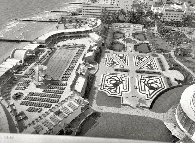 March 30, 1955. "Fontainebleau Hotel, Miami Beach. Roof view of pool, cabanas and garden. Morris Lapidus, architect." The valet will be happy to park your Cadillac. Large-format acetate negative by Samuel H. Gottscho. View full size.