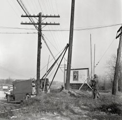 Washington, D.C., or vicinity circa 1937. "Potomac Electric Power Co. -- Pole setting." Safety negative by Theodor Horydczak. View full size.