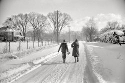 February 1940. Chillicothe, Ohio. "Children going home from school." 35mm negative by John Vachon for the Farm Security Administration. View full size.
A rare sight indeedKids walking home from school. As rare a sighting as Bigfoot today. Nowadays the Escalade pulls up and Mom the chauffeur drives them two blocks to the house.
Snow LieHey, they're not walking backwards or uphill, and that's not three feet of snow. My grandparents lied!
The Trudge ReportThis is the way we all went to school, many miles of trudging through the snow, sometimes with bleeding bare feet, through searing winds and minus temperatures and uphill -- in both directions!  At least that is what I tell the youngsters, until their eyes start to roll.
Chilly in ChillicotheThis is a beautiful snow pic from Shorpy. I could easily see this on a Christmas card.
Kid on the left is mighty casualSwinging that iPad around like that. They don't grow on trees, you know, young man!
ChillingYou keep us laughing Dave!
As an old time radio fanFor some reason this scene makes me think of The Great Gildersleeve. This is how I imagine it would look for Leroy and Marjorie walking home from school in Summerfield on a cold winter's day.  Maybe that's Old Judge Hooker's house on the left.
Putting the Chillyin Chillicothe! 
Back in the days of warm winters!I froze my butt off walking to school.  About a 1 1/2 mile walk and never a ride!  I'm just glad that back then there was no such thing as a "wind chill,"  we would have REALLY froze our butts off!
Snow!!!Ahhh, the delicious crunch, crunch under the feet of fresh fallen, really cold snow.  And the sky on a day like this, after a big snow storm has passed, is an incredibly deep bright blue.
FrostbiteI remember walking 2 miles home from high school in winter. Really!  Skirts were short then, in the late '60s, and even though knee socks were stylish, they didn't keep me warm.  My legs would be beet red and it took an hour to thaw out once I got home.  To say it hurt would be an undertatement!  When I saw this photo my sympathies immediately went out to this girl. I hope the big house on the left was her home, because that would mean she was almost there.
(The Gallery, John Vachon)