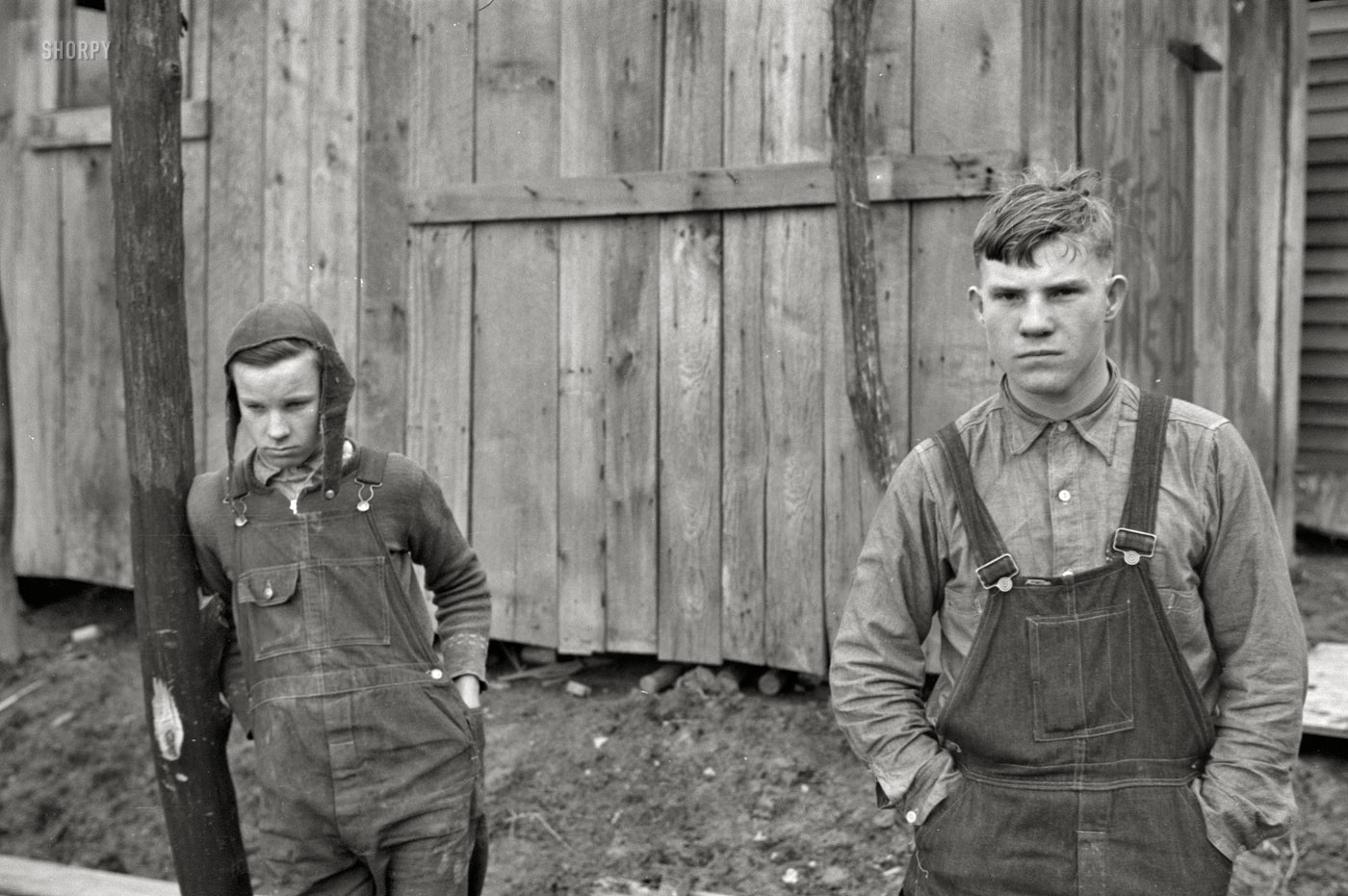 April 1936. "Farm boys. Jackson County, Ohio." 35mm nitrate negative by Theodor Jung for the Farm Security Administration. View full size.