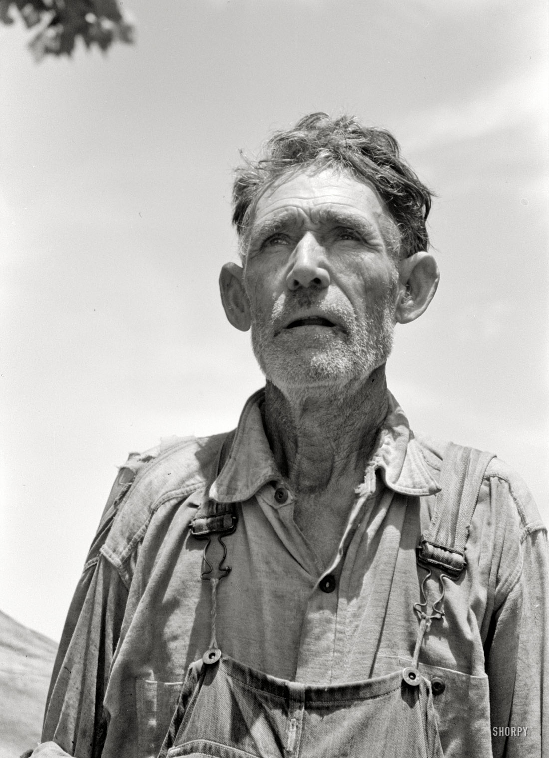 June 1939. "Veteran migrant agricultural worker camped in Wagoner County, Oklahoma. He has followed the road for about 30 years. When asked where his home was he said, 'It's all over.'" 35mm negative by Russell Lee. View full size.