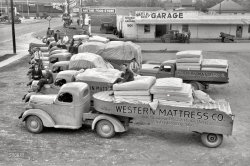 November 1939. "Trucks loaded with mattresses at San Angelo, Texas. These mattress factories use much local cotton." 35mm nitrate negative by John Vachon for the Farm Security Administration. View full size.
Old Mattresses from 1939Growing up and living in my parents' house for over 20 years, I cannot remember ever having a brand new mattress delivered.  Just seems everyone had mattresses they were not using and when one was needed, it was offered to us by a relative or friend.  These days we are told that after 8 years, it is full of dust mites and horrible, dangerous, potentially fatal vermin, germs, etc.  Sometimes it is hard to understand how we survived those risks. My current new mattress has "pillowtops" on both sides,special back support sectioning, carrying handles and is almost 20" thick and it takes two strong men to move it, not to mention the mind-boggling cost.  Life was so simple then.  
Hometown mattressesI don't know about other states, but as late as the 1960s, many small towns in Texas had local companies that made mattresses.  The town in East Texas where my mother grew up had a mattress company, a storefront operation much smaller than this one in San Angelo.  The mattresses (like ones my grandparents had) were simple affairs stuffed with cotton, used with an open spring foundation.  As a kid, I thought they were the best mattresses made.
The "S.H.D." on the trailers stands for "State Highway Department", which is now known as TxDOT.
Studebakers?These look like Studebakers but I haven't been able to figure exactly what model.
Wrapped?Seems as though the new mattresses would travel better is they were packaged a bit better; just a thought from the perspective of the distant future.
Truck IDsFrom front to back: 2 Internationals(fleet #7 &amp; 2), Ford ca.1937, Chevrolet 1934/1935 type, Ford, Dodge etc. (too fuzzy). The lone truck on the right with the right hand spare is a Dodge (note the ram). The 2 door sedan is a 1933/34 Ford and the black 2 dr waiting for a wash is a Model A Ford.
Classic Americana!Great Photo, other than the mattresses it reminds me of a scene from The Last Picture Show. 
Western Mattress StoreI was just in front of their former store in San Angelo this past Saturday. It's being renovated into a restaurant/bar type establishment. San Angelo has a very historic old downtown and is somewhat of a heaven for lovers of old buildings.
San Angelo is a great town.Lived there for a number of years.  Great place. Great people.  Great place to raise a family.
How oddThey're not having a sale on mattresses!
Good old/bad daysNot only are the mattresses completely exposed to dirt, weather and everything else but how about the guy SITTING on one in the truck?  Like someone said, rarely did people go out to buy a new mattress but if I did I certainly wouldn't want one from THIS company.  While I think the good old days may have been great in some ways, I am happy to be living today when it comes to stuff like this.
(The Gallery, Cars, Trucks, Buses, John Vachon)