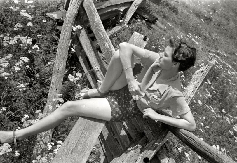 Photo of: On the Fence: 1939 -- 