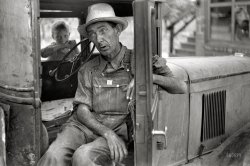 July 1940. "Arkansas farmer now picking fruit in Berrien County, Michigan." Wearing Tuf-Nut overalls. Photo by John Vachon for the FSA. View full size.
1929 Chevrolet truckBy the look and position of the hood louvers. Very interesting to see how these old vehicles with composite (wood and steel) bodies lasted that long!
Classic faceAs I have commented before some of these photos just jump out at you with their depth of expression that reaches across time. This photo looks like it was taken from a Peter Breughel painting of a peasant from the 1400s.
Pics like this oneStop me dead in my tracks. I can't place exactly what makes them so heartbreakingly intriguing, but it's almost like a personal memory of mine, which would be impossible.
If only the camera had been invented a thousand or so years earlier -- wouldn't that have been amazing!
Chopped OffThis is actually a 1929 or 1930 Chevrolet Car that has had the back end chopped off and a flatbed body added.  There was no Chevy car made these two years that had such a short side panel behind the driver's seat.
A 29/30 Chevy truck has different trim on the sides of the body with the door handles between two body lines.  
If you look at the body panels and trim on the back of the passenger area the body trim lines do not match up, and the seam between the top and lower half do not align to each other or the back post of the cab.  Other photos in this series show the back of the cab and roof do not align with the sides of the body or the windshield.  
One of the photos showing the flatbed body is below along with a close up of the misaligned trim.
(The Gallery, Cars, Trucks, Buses, John Vachon)